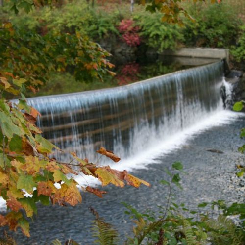 Fall 011.jpg