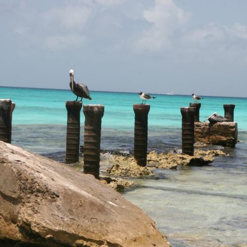 los_roques 163.jpg