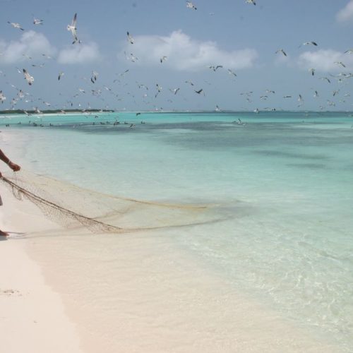 los_roques 556.jpg