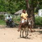 DominicanRepublic 372