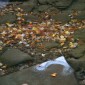 Fall 053