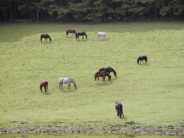 P9300041