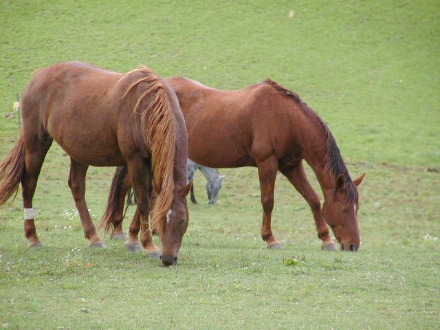PA070037