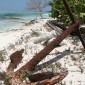 los roques 162