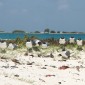 los roques 191
