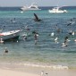 los roques 500