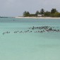los roques 593