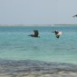 los roques 635